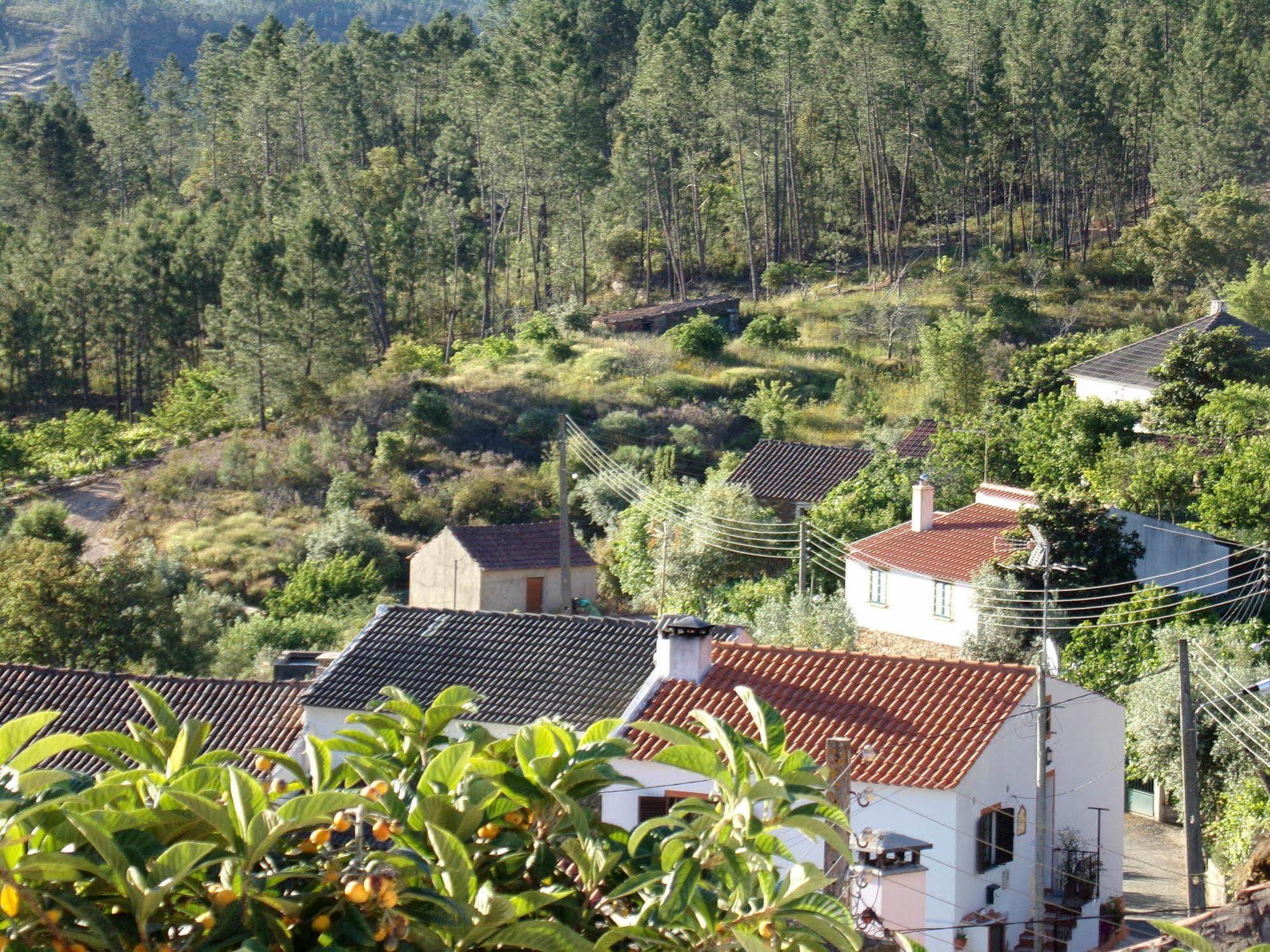 Villa Casas Dos Carregais Extérieur photo